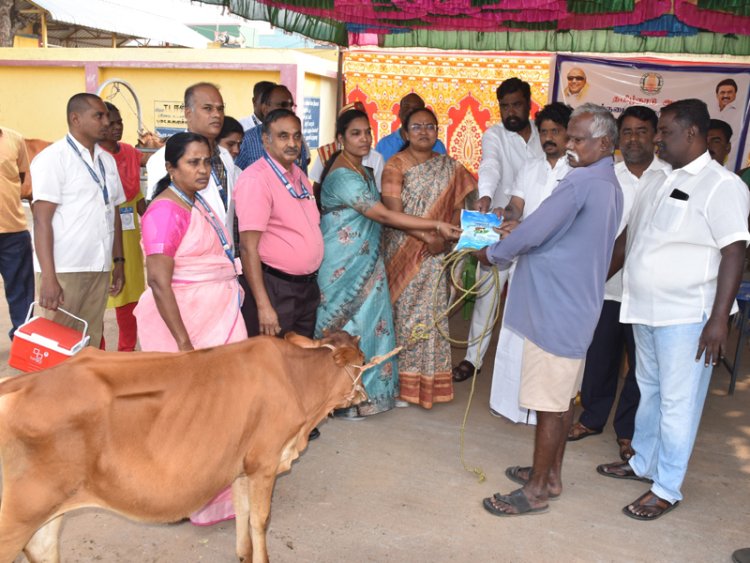 உங்கள் மாடுகளை காப்பாற்றிக் கொள்ளுங்கள்! ஜனவரி 5 ஆம் தேதி வரை கோமாரிதடுப்பு முகாம்!