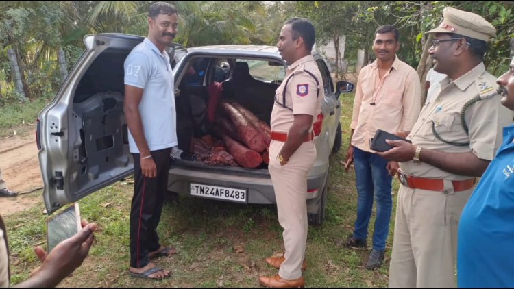 தனிப்பிரிவைச் சேர்ந்தவருக்கு தெரிந்தே செம்மரம் வியாபாரம் நடந்ததா?