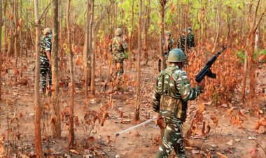 12 நக்சல்கள் சுட்டுக் கொலை! பாதுகாப்பு படையினர் அதிரடி!