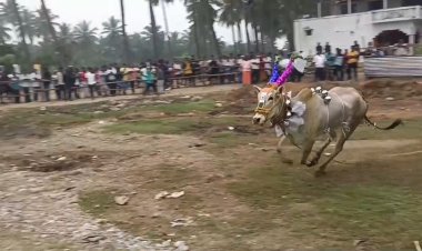 வெற்றி பெற்ற காளைகளுக்கு பரிசு! முன்னாள் எம்.எல்.ஏ. சி.ஞானசேகரன் வழங்கினார்!