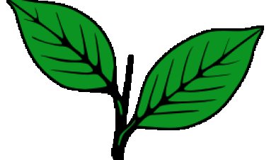 இரட்டை இலை சின்னத்துக்கு ஆபத்தா? அதிமுக உட்கட்சி விவகாரத்தை தேர்தல் ஆணையம் விசாரிக்கலாம்!