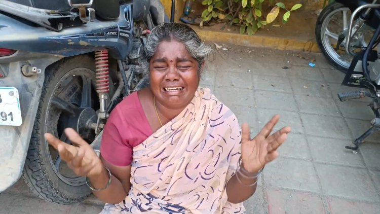 முட்டி தள்ளிய மாடு முதியவர் பலி!