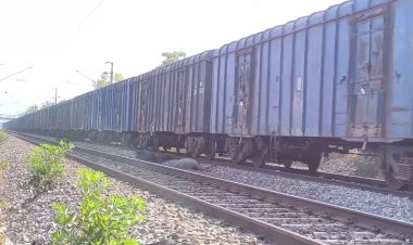 ரயில் தண்டவாளத்தில் 7 எருமைமாடுகள் பலி!