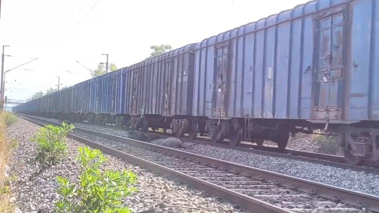 ரயில் தண்டவாளத்தில் 7 எருமைமாடுகள் பலி!