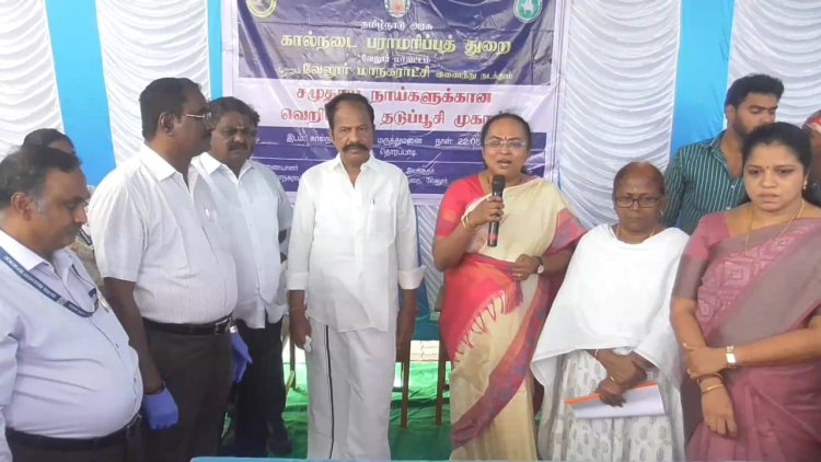 தெருநாய்களுக்கு தடுப்பூசி முகாம்!