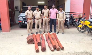 இன்னமும் செம்மரக்கட்டை கடத்தல்!