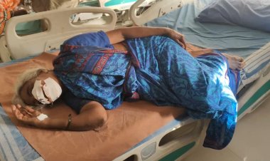  மூதாட்டியின் உதட்டை கடித்த இளைஞர் பிடிபட்டார்!