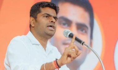 பாலியல் வன்கொடுமை வழக்கு!விமர்சித்த அண்ணாமலையை விசாரிக்க மனு தாக்கல்!