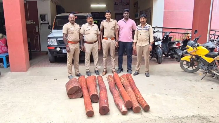 இன்னமும் செம்மரக்கட்டை கடத்தல்!