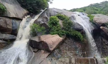 திருப்பத்தூரில் ஆர்பரிக்கும் நீர்வீழ்ச்சி! குளிக்க தடை!