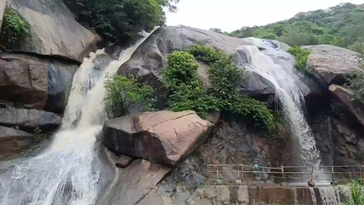 திருப்பத்தூரில் ஆர்பரிக்கும் நீர்வீழ்ச்சி! குளிக்க தடை!