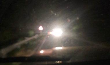 யானை வழித்தடங்களில் பள்ளங்கள்! கனிமவள கொள்ளையர்களால் ஆபத்து! திருப்பத்தூர் அதிகாரிகள் கவனிப்பார்களா?