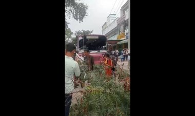 பேய் பிசாசின் திட்டத்தை சாமியார் முறியடித்தாராம்!