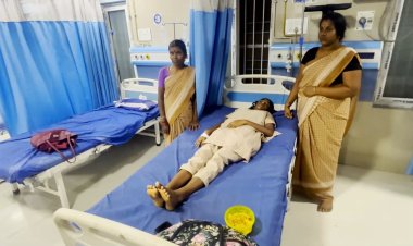 பள்ளிக்கூடத்துக்குள் புகுந்த பாம்பு! மாணவியை கடித்தது!