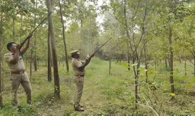 வேட்டைகாரரின் துப்பாக்கியில் சுட்டு பார்த்த வன அதிகாரிகள்!