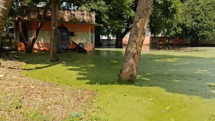 பல்லை இளிக்கும் பள்ளிக்கூட பரிதாபங்கள்! மாதம் பிறந்தால் அரசு சம்பளம் அள்ளும் அதிகாரிகள்!