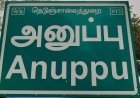 நெற்பயிரை ருசிக்கும் காட்டுப் பன்றிகள்! குறட்டையில் வன அதிகாரிகள்!