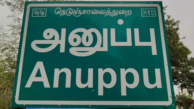 நெற்பயிரை ருசிக்கும் காட்டுப் பன்றிகள்! குறட்டையில் வன அதிகாரிகள்!