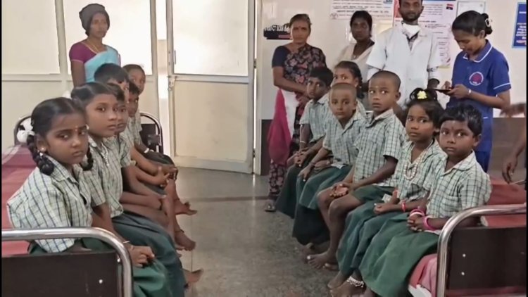  மாணாக்களை கொட்டிய தேனீக்கள்!