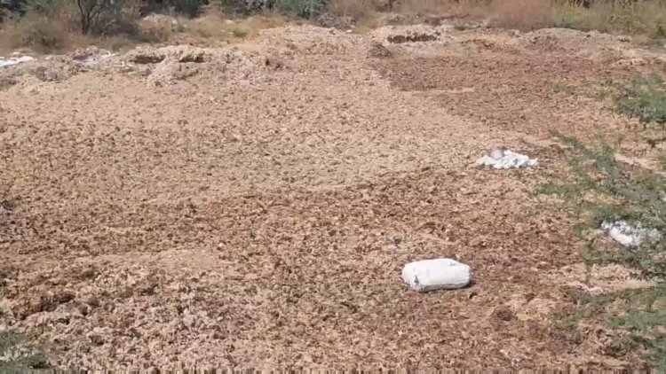 ஆட்டு ரோமத்தால் நிலத்தடி நீர் பாதிப்பு! தடுத்து நிறுத்த சமூக ஆர்வலர் கோரிக்கை!.