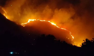 ஏலகிரி மலையில் தீ! ஃபயர் சர்வீஸ் மெத்தனம்!