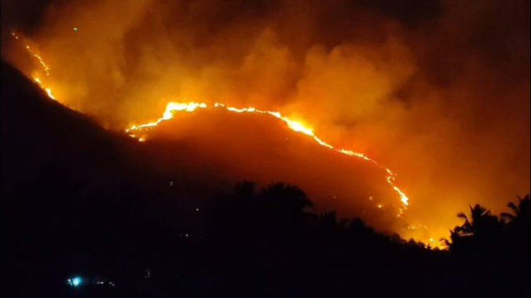 ஏலகிரி மலையில் தீ! ஃபயர் சர்வீஸ் மெத்தனம்!