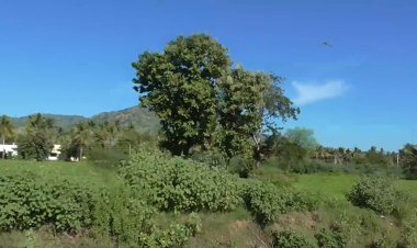 அடர் காடுகளை அதானி குழுமத்துக்கு தாரை வார்க்க  முயன்றதா திமுக அரசு!