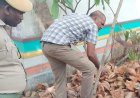 ஒடுக்கத்தூர் அருகே வெடிகுண்டு பீதி!