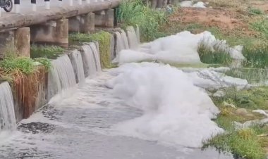 மழை வந்தால் பாலாற்றில் ரசாயனக் கழிவுகளா? நுரை பொங்கி ஓடும் தண்ணீர்! மாசுக்கட்டுப்பாட்டு அதிகாரிகள் கண்டுகொள்வதில்லையா?