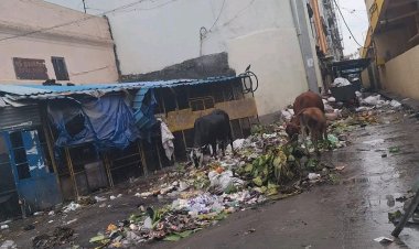 வேலூர் பழைய பேருந்து நிலையம் குப்பைக் கிடங்காக மாறுகிறதா? – மாநகராட்சி நிர்வாகம் என்ன செய்யப் போகிறது? சுகாதாரச் சீர்கேடு, ஆக்கிரமிப்பு, வாகன நெரிசல்... பொதுமக்களின் பாதுகாப்பு கேள்விக்குறி!