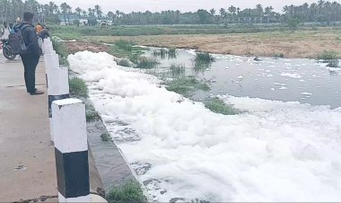 மழை வந்தால் ஆம்பூர் பாலாற்றில் நச்சு நுரை! 15 நாட்களில் பலமுறை தொடரும் அவலம் – அதிகாரிகள் நடவடிக்கை எப்போது?  விவசாயிகளின் வாழ்வாதாரத்தைக் காக்க போலீஸில் புகார் அளிக்கவும் திட்டம்!