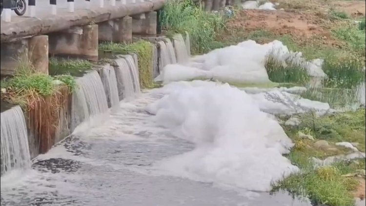 மழை வந்தால் பாலாற்றில் ரசாயனக் கழிவுகளா? நுரை பொங்கி ஓடும் தண்ணீர்! மாசுக்கட்டுப்பாட்டு அதிகாரிகள் கண்டுகொள்வதில்லையா?